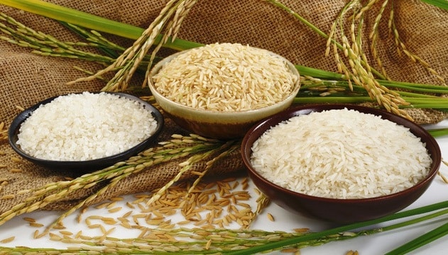 Phân biệt gạo ngon và gạo bị tẩm hóa chất