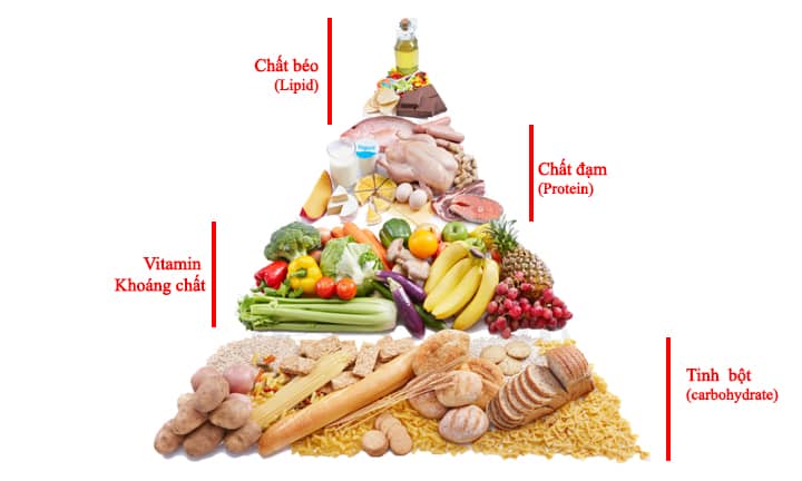 Chế độ ăn uống cân đối