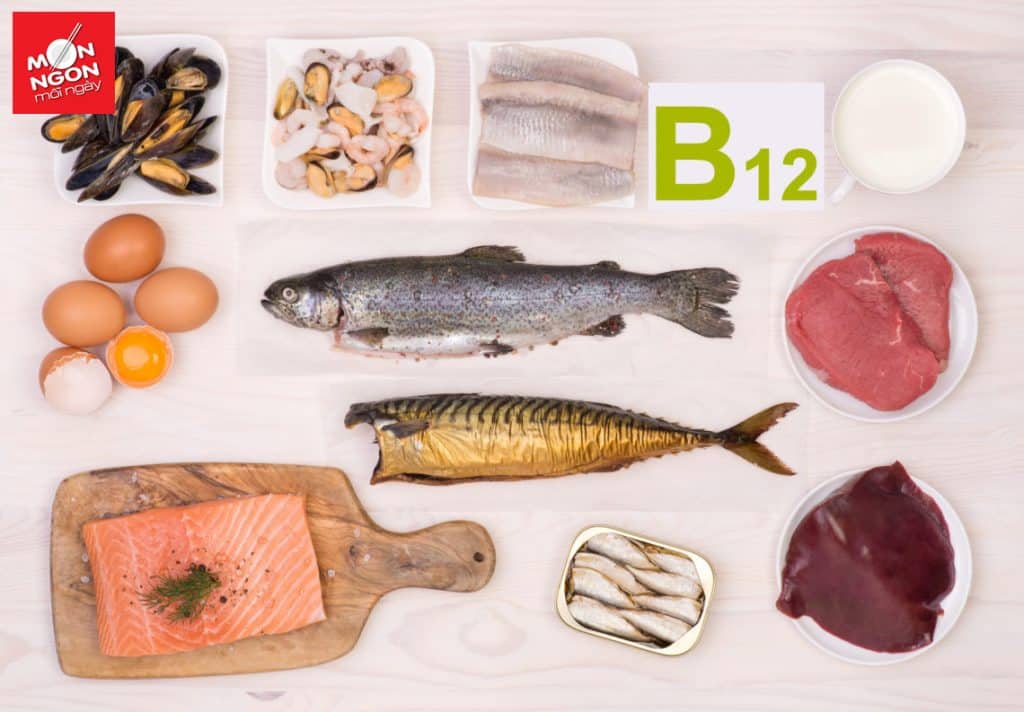 Top 9 loại thực phẩm chứa nhiều Vitamin B12 bạn nên biết