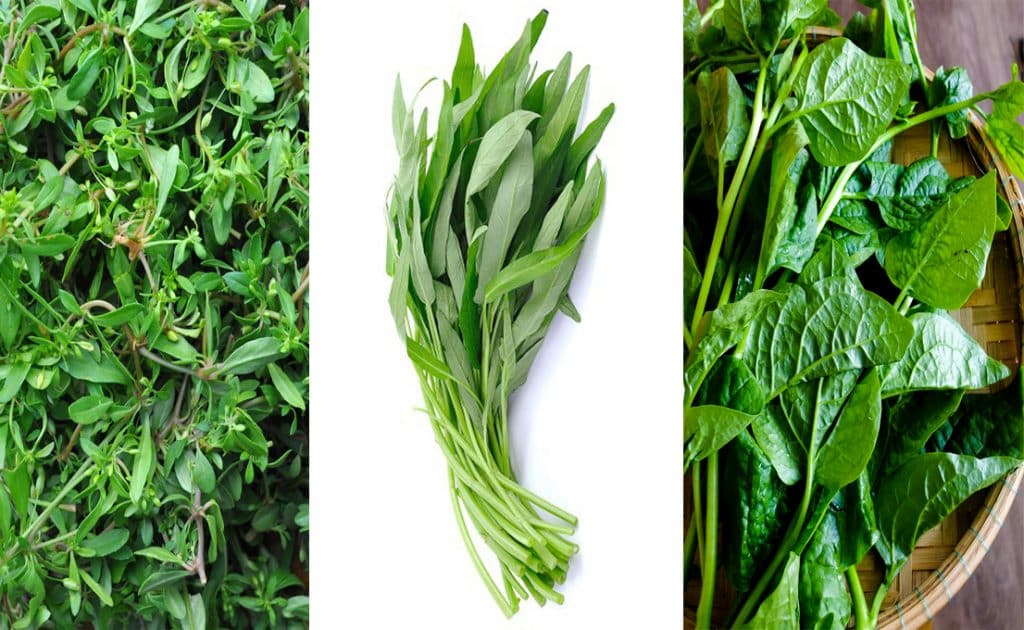 3 loại rau thanh nhiệt siêu hợp thời tiết Việt Nam