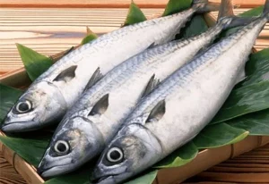 Cá Sapa là cá gì? Dinh dưỡng và cách nấu cá sapa