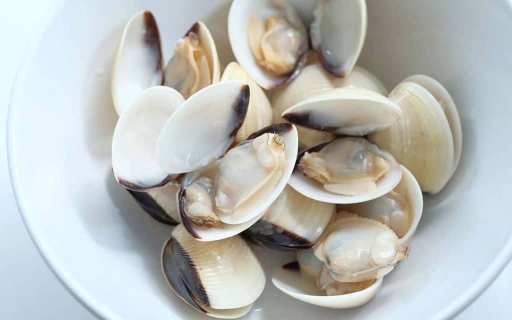 Cách chọn nghêu tươi, bảo quản và sơ chế đúng cách