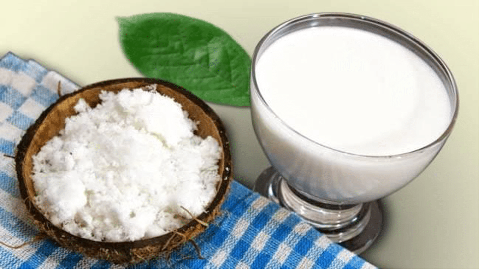Nước cốt dừa – Giá trị dinh dưỡng và lưu ý khi sử dụng chế biến món ăn