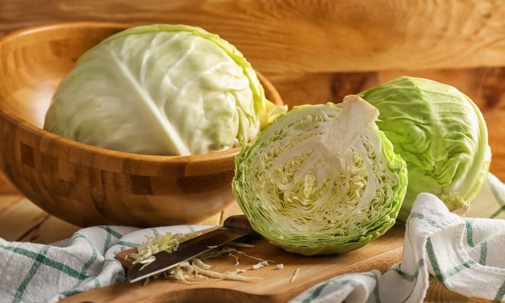 Mẹo chọn mua và bảo quản bắp cải xanh tươi ngon đơn giản