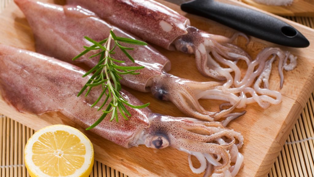 Mực có bao nhiêu loại và mẹo phân biệt các loại mực biển