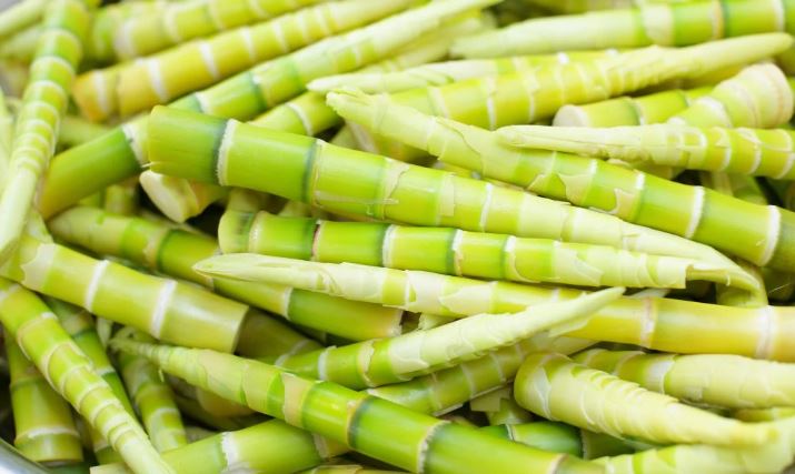 Phân biệt 8 loại măng tươi phổ biến dùng để nấu ăn