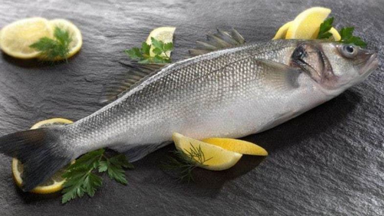 Cá chẽm – Loài cá giá trị với dinh dưỡng vượt trội