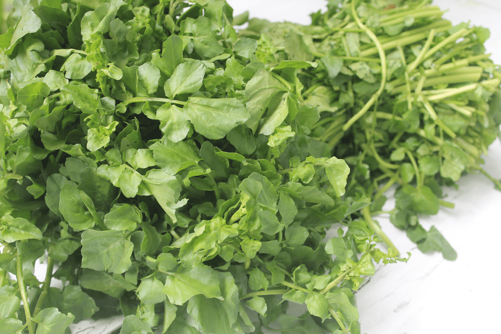cách chọn cải xoong tươi ngon nấu canh