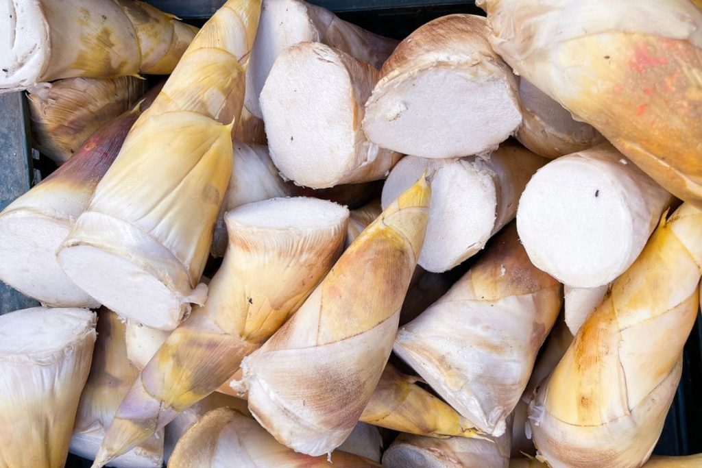 cách chọn măng tươi ngon